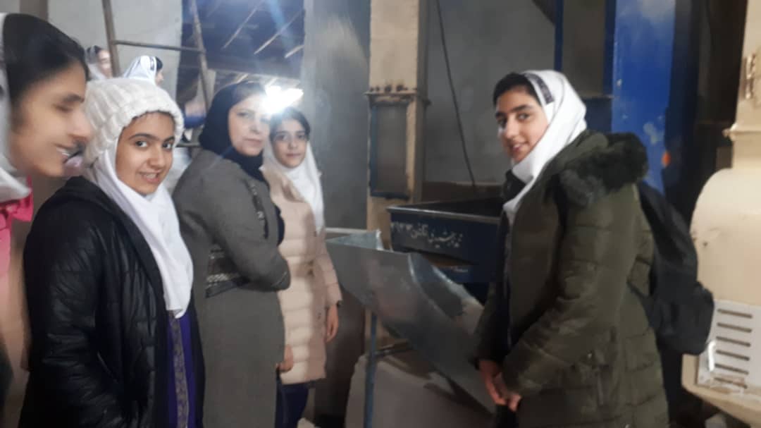 بازدید دختران ششم از کارخانه برنجکوبی